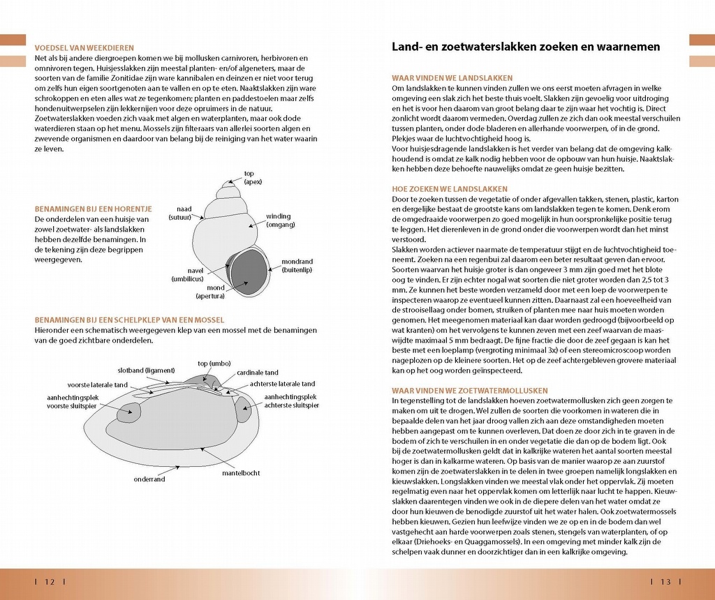 Veldgids Land- en zoetwatermollusken