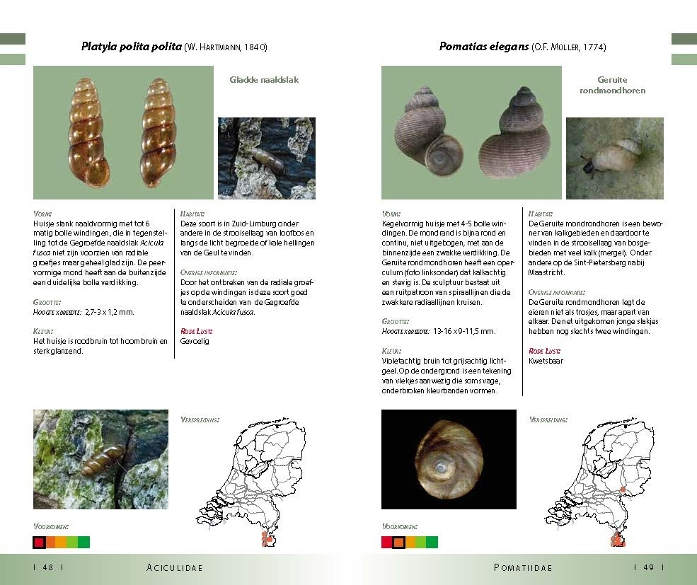 Veldgids Land- en zoetwatermollusken