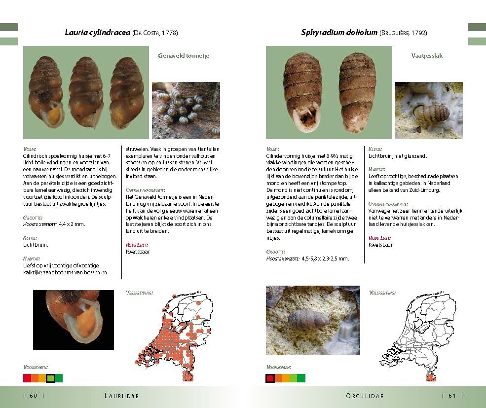 Veldgids Land- en zoetwatermollusken