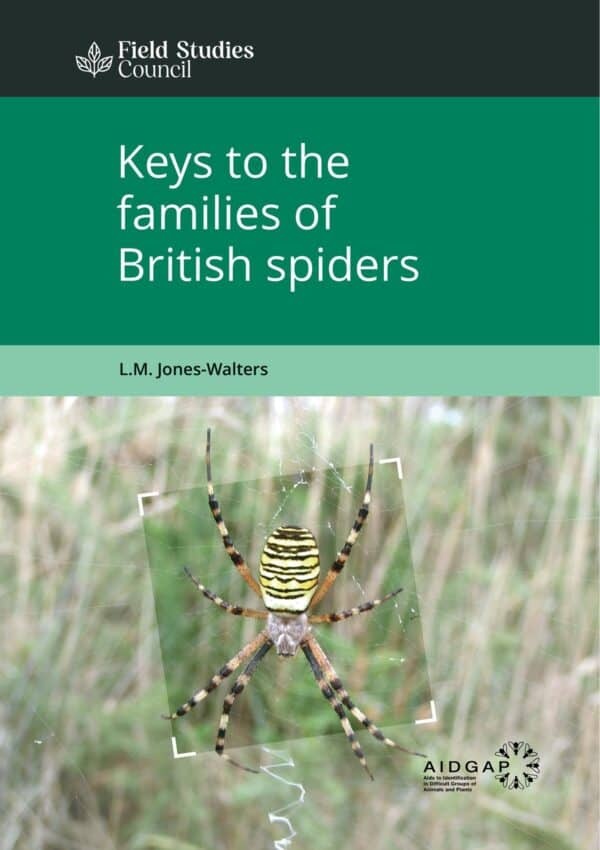 Keys to the Families of British Spiders