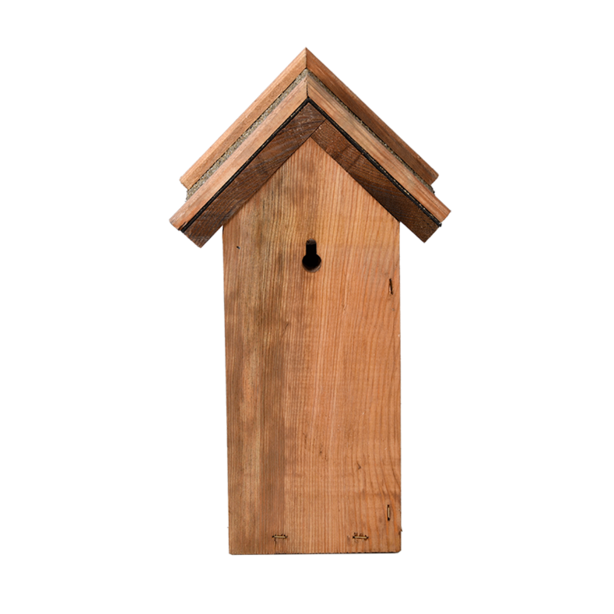 Nest box blue tit bitumen roof