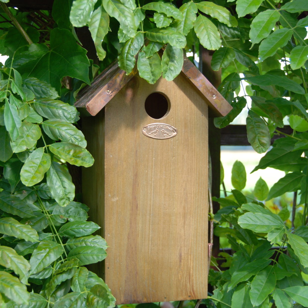 Nest box great tit copper roof