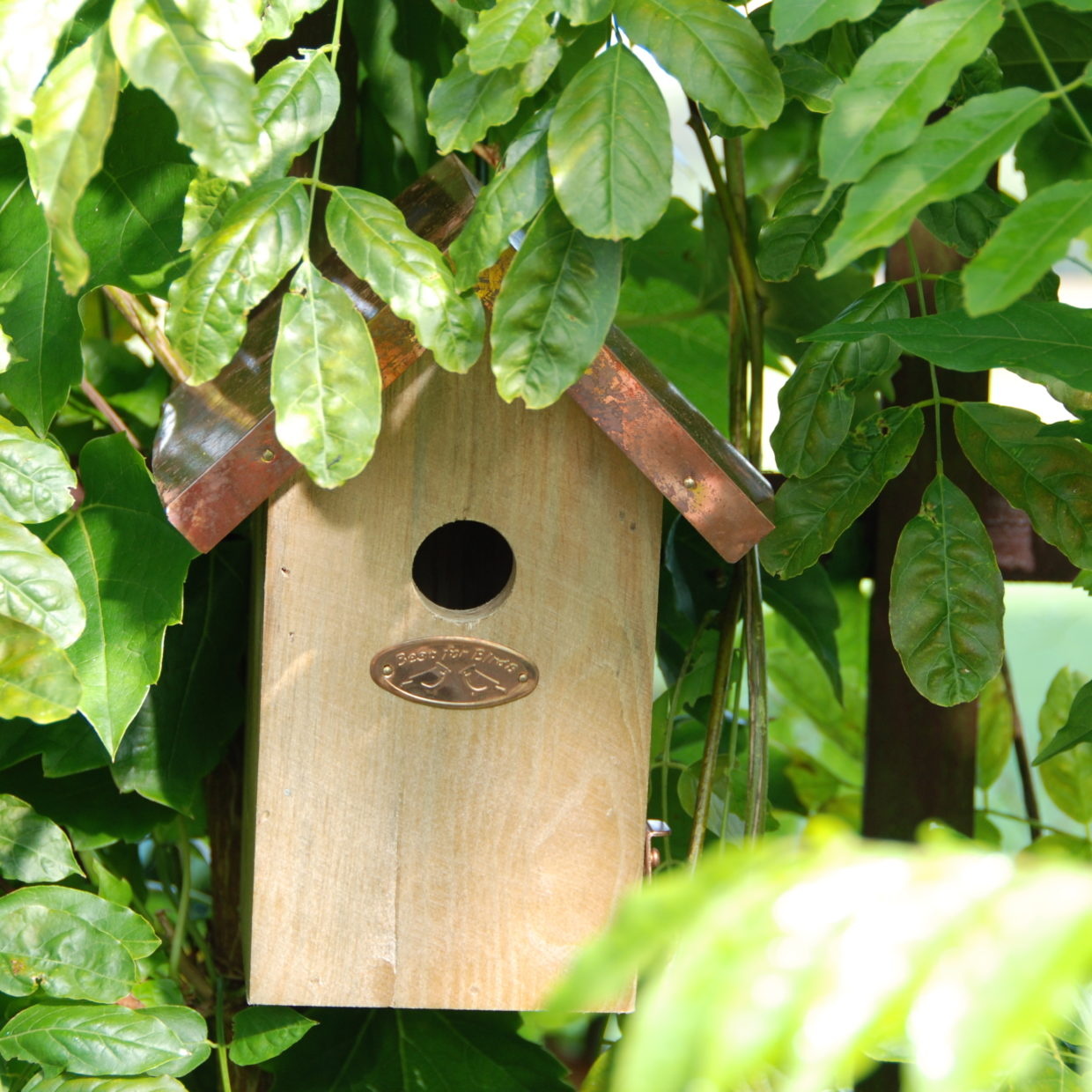 Nest box wren copper roof
