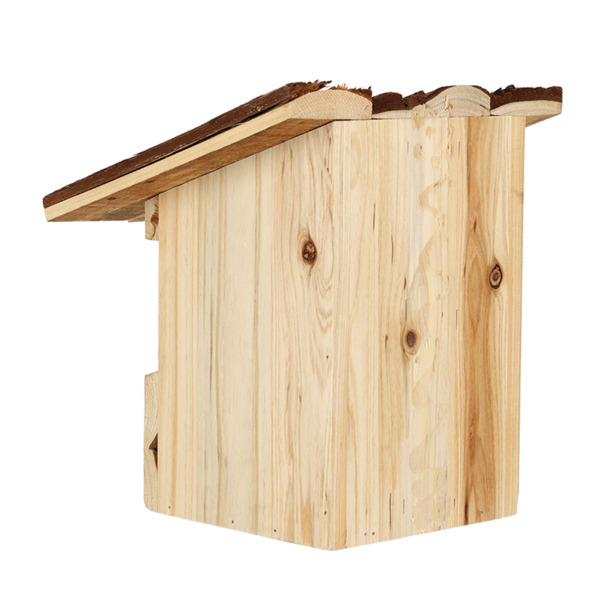 Bird house robin bark roof