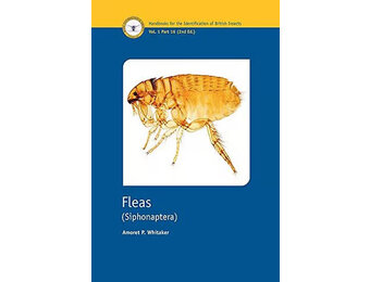Fleas (Siphonaptera)