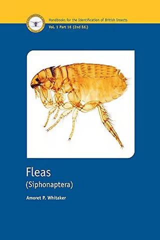Fleas (Siphonaptera)