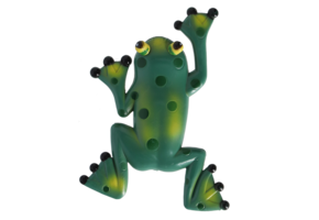 Thermometer Frosch