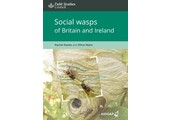 Social wasps of Britain and Ireland