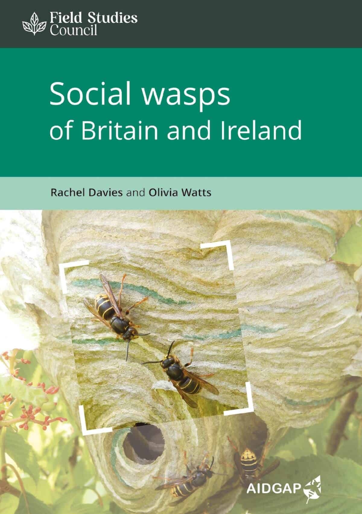Social wasps of Britain and Ireland