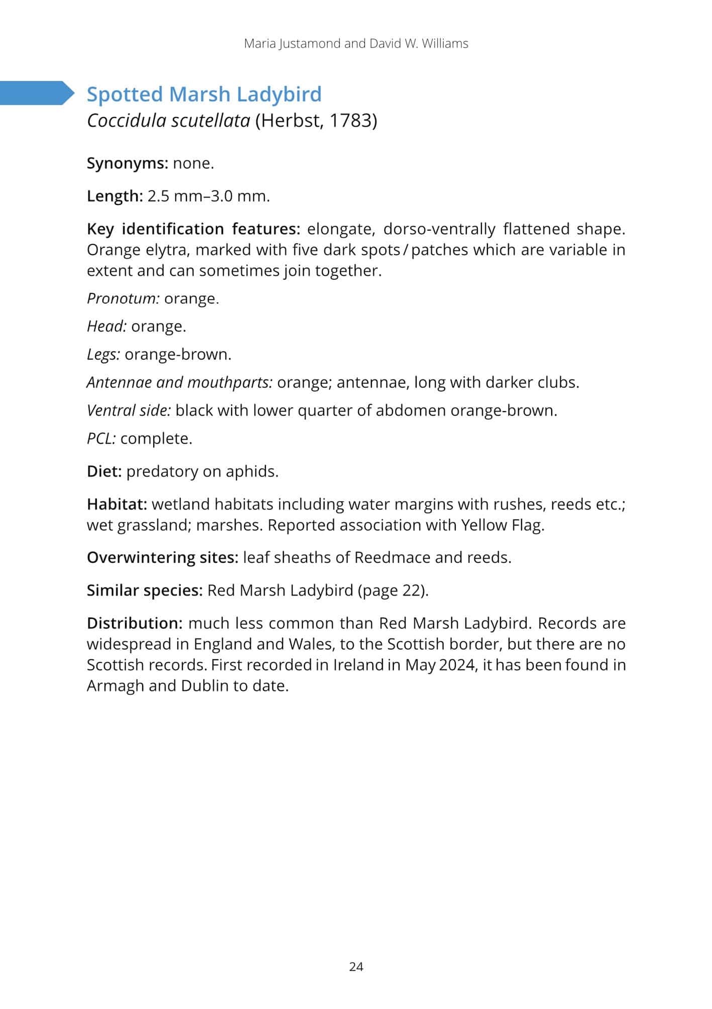 Micro ladybirds of Britain and Ireland - A guide to the smaller species of Coccinellidae