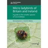 Micro ladybirds of Britain and Ireland - A guide to the smaller species of Coccinellidae
