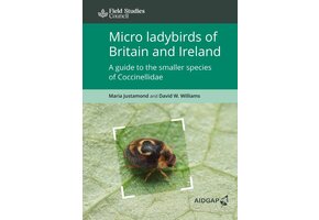 Micro ladybirds of Britain and Ireland