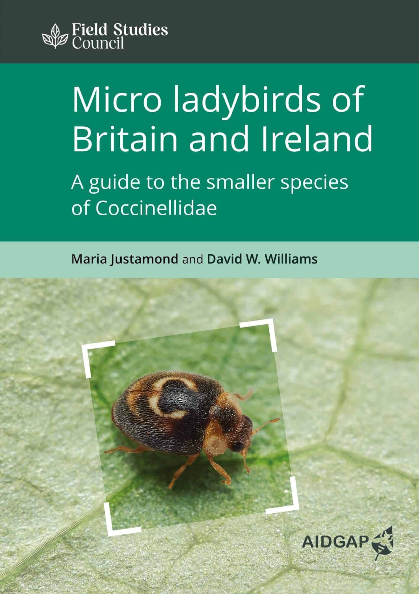 Micro ladybirds of Britain and Ireland - A guide to the smaller species of Coccinellidae