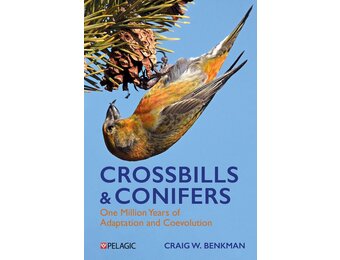 Crossbills and Conifers
