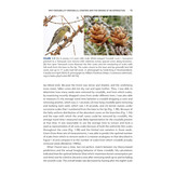 Crossbills and Conifers - One Million Years of Adaptation and Coevolution