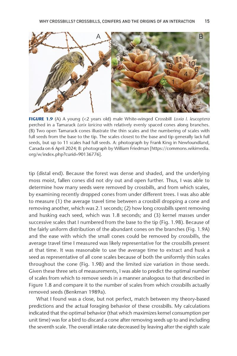 Crossbills and Conifers - One Million Years of Adaptation and Coevolution
