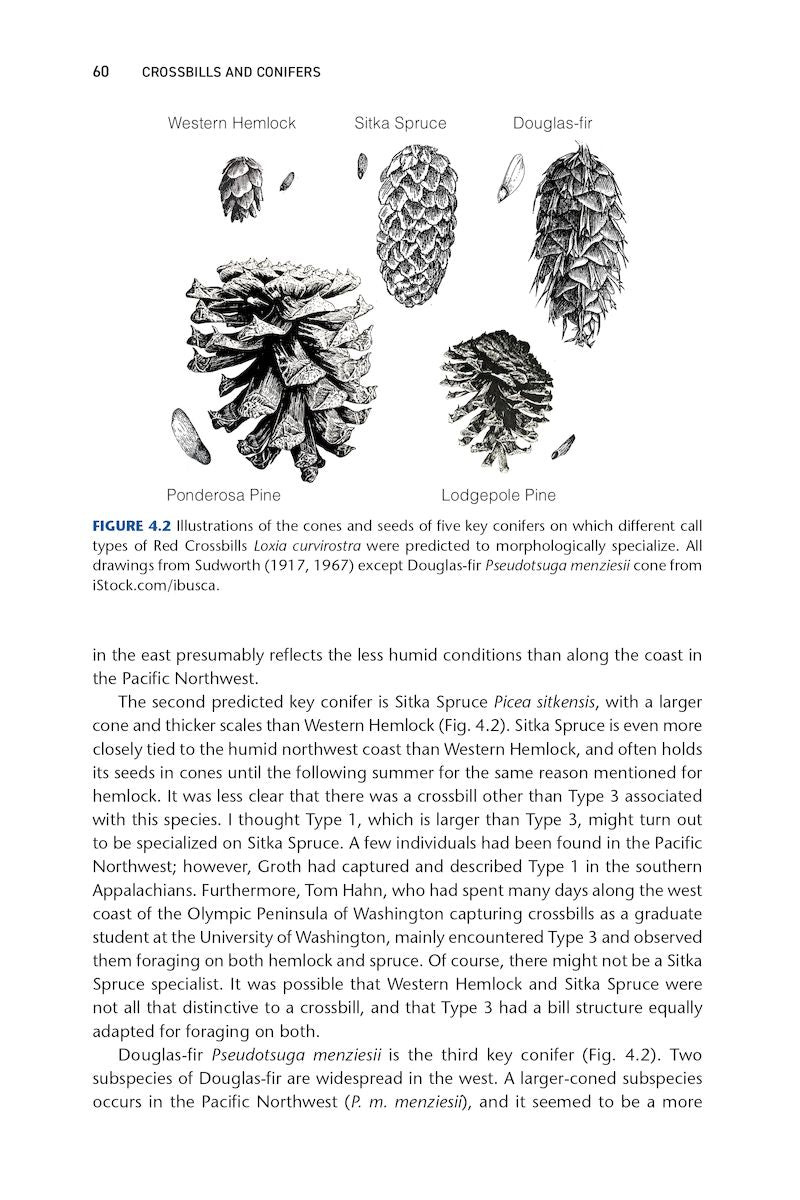 Crossbills and Conifers - One Million Years of Adaptation and Coevolution