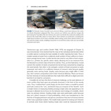 Crossbills and Conifers - One Million Years of Adaptation and Coevolution