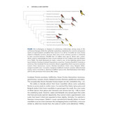 Crossbills and Conifers - One Million Years of Adaptation and Coevolution