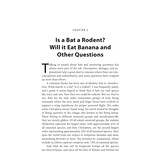 Bats & Ladders - Stories from the Real World of Bat Conservation