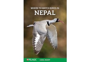 Where to Watch Birds in Nepal