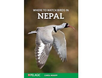 Where to Watch Birds in Nepal