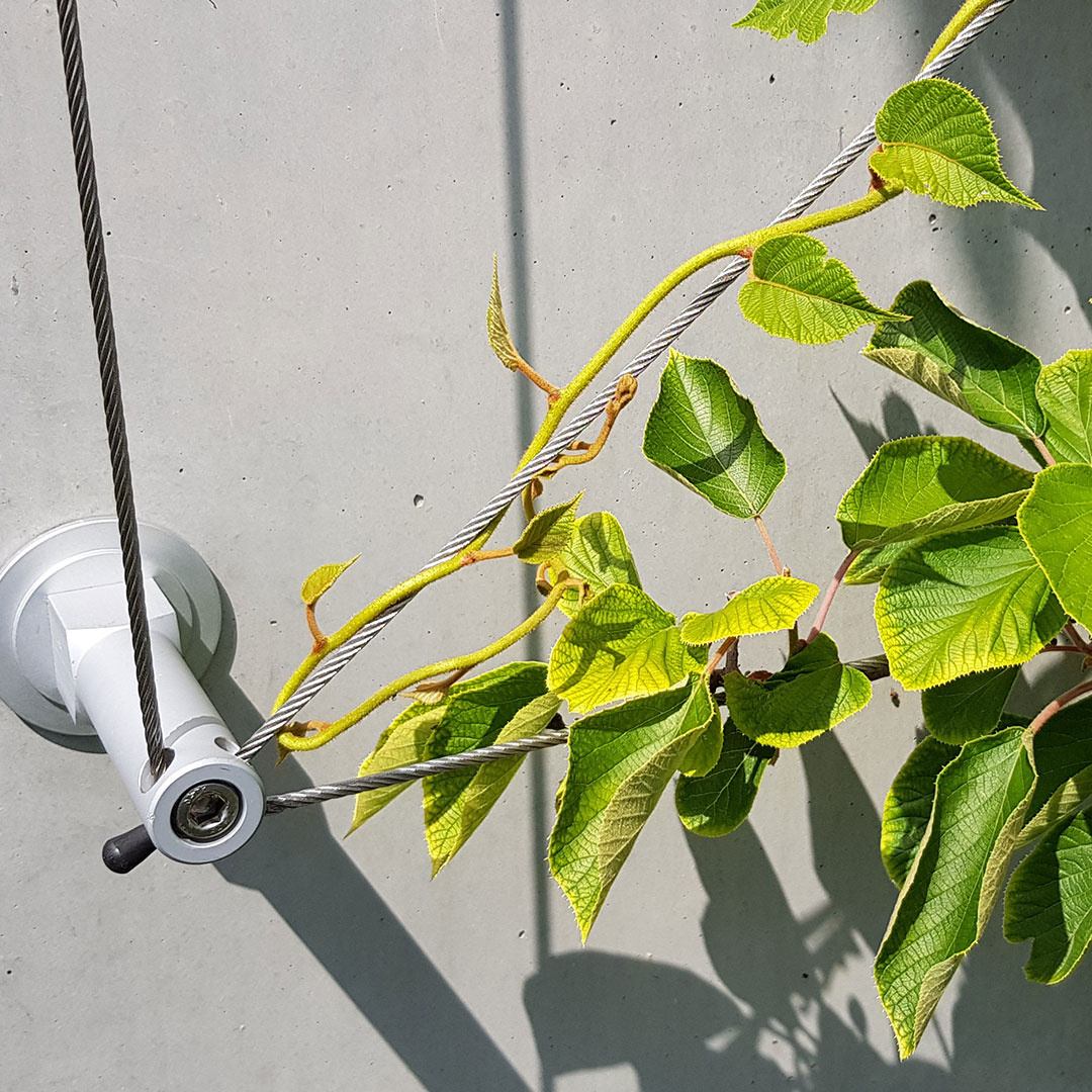 Greenwall Systems