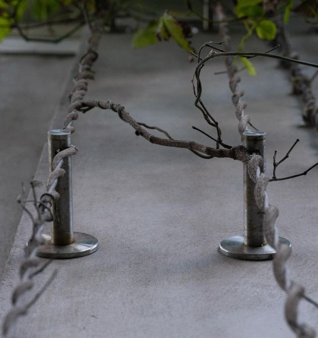 Carl Stahl Set Robuust Klimhulp