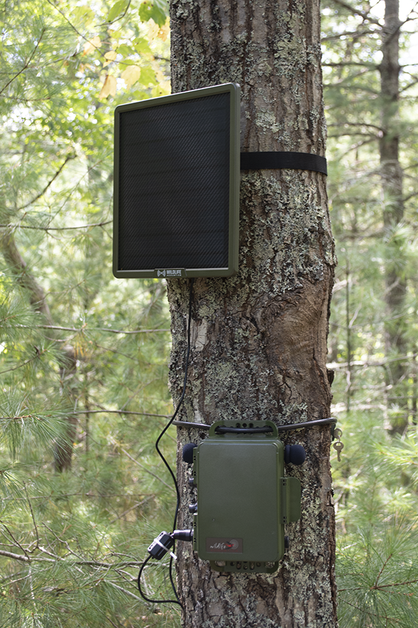 Wildlife Acoustics Power Kit
