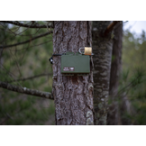 Song Meter Mini Bat 2 Li-ion