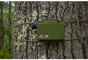 Song Meter Mini 2 Li-ion