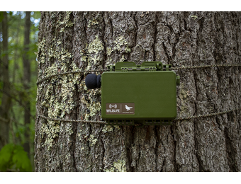 Song Meter Mini 2 Li-ion