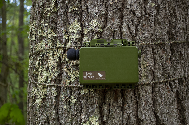 Song Meter Mini 2 Li-ion