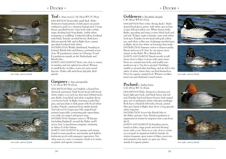 A Naturalist's Guide to Birds of Britain and Northern Europe