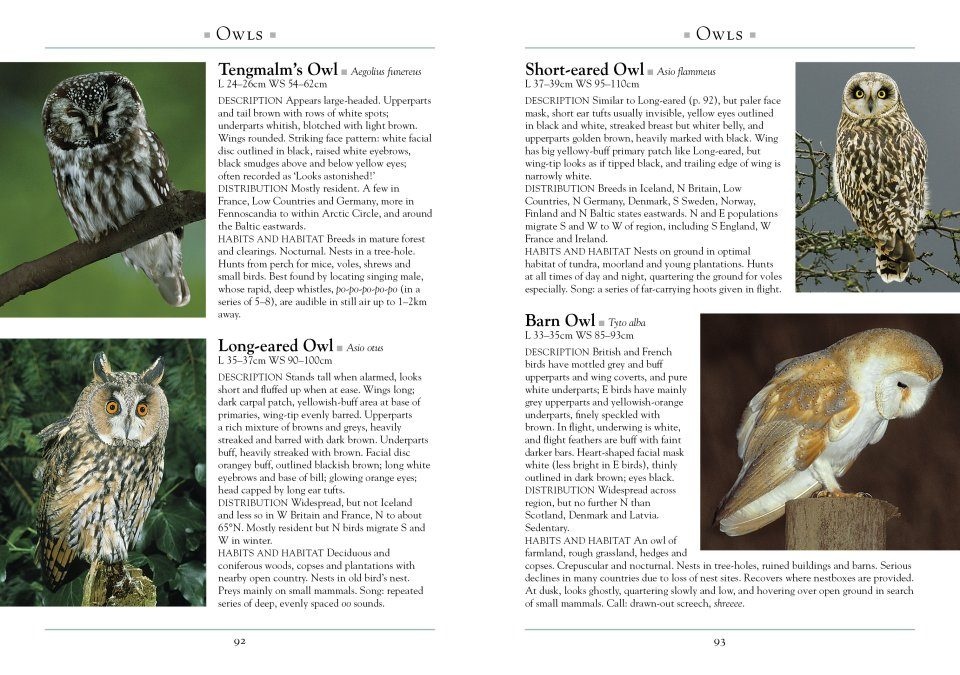 A Naturalist's Guide to Birds of Britain and Northern Europe