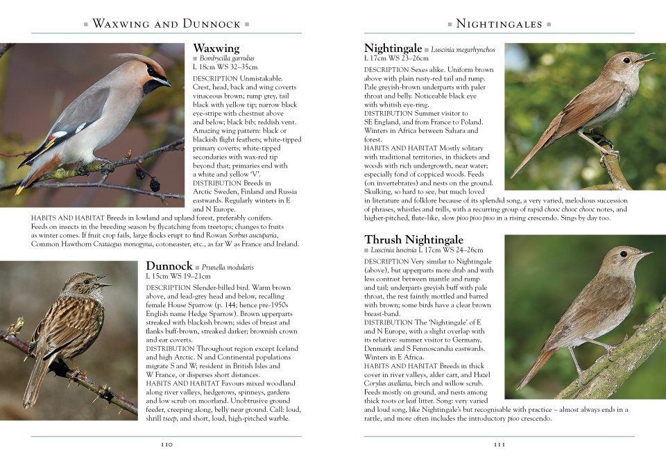 A Naturalist's Guide to Birds of Britain and Northern Europe
