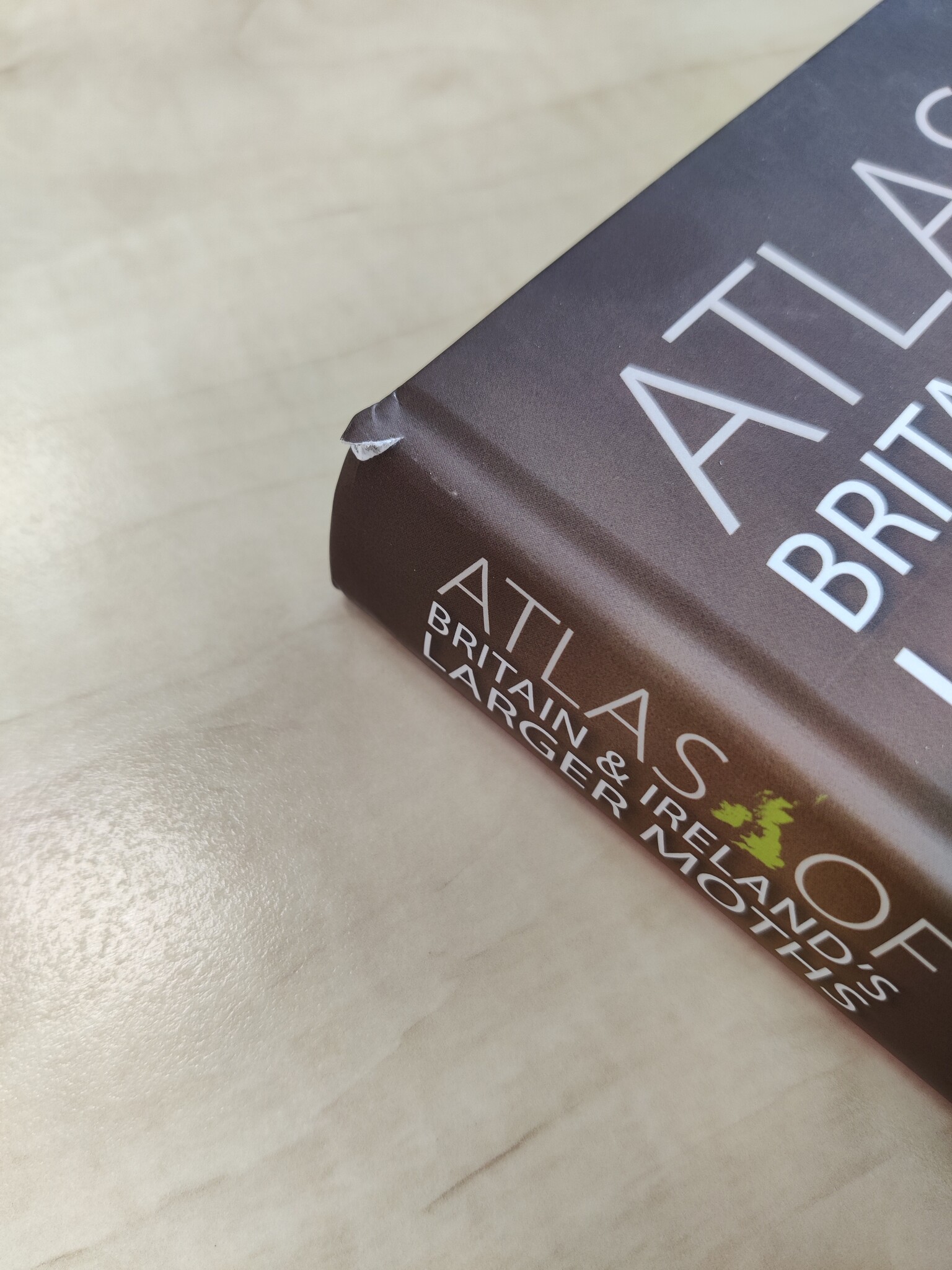 Beschadigd exemplaar - Atlas of Britain & Ireland's Larger Moths