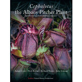 Cephalotus - the Albany Pitcher Plant