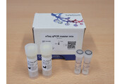 IPC qPCR Quantification kit