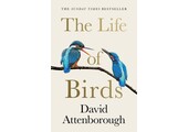 The Life of Birds