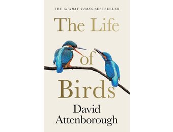 The Life of Birds