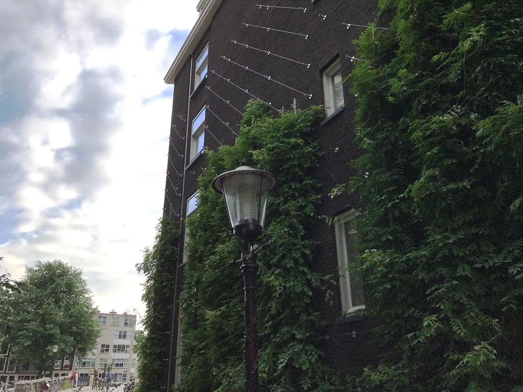 Carl Stahl Greenwall Set Basic