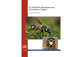 De Nederlandse Plooivleugelwespen (Hymenoptera: Vespidae)
