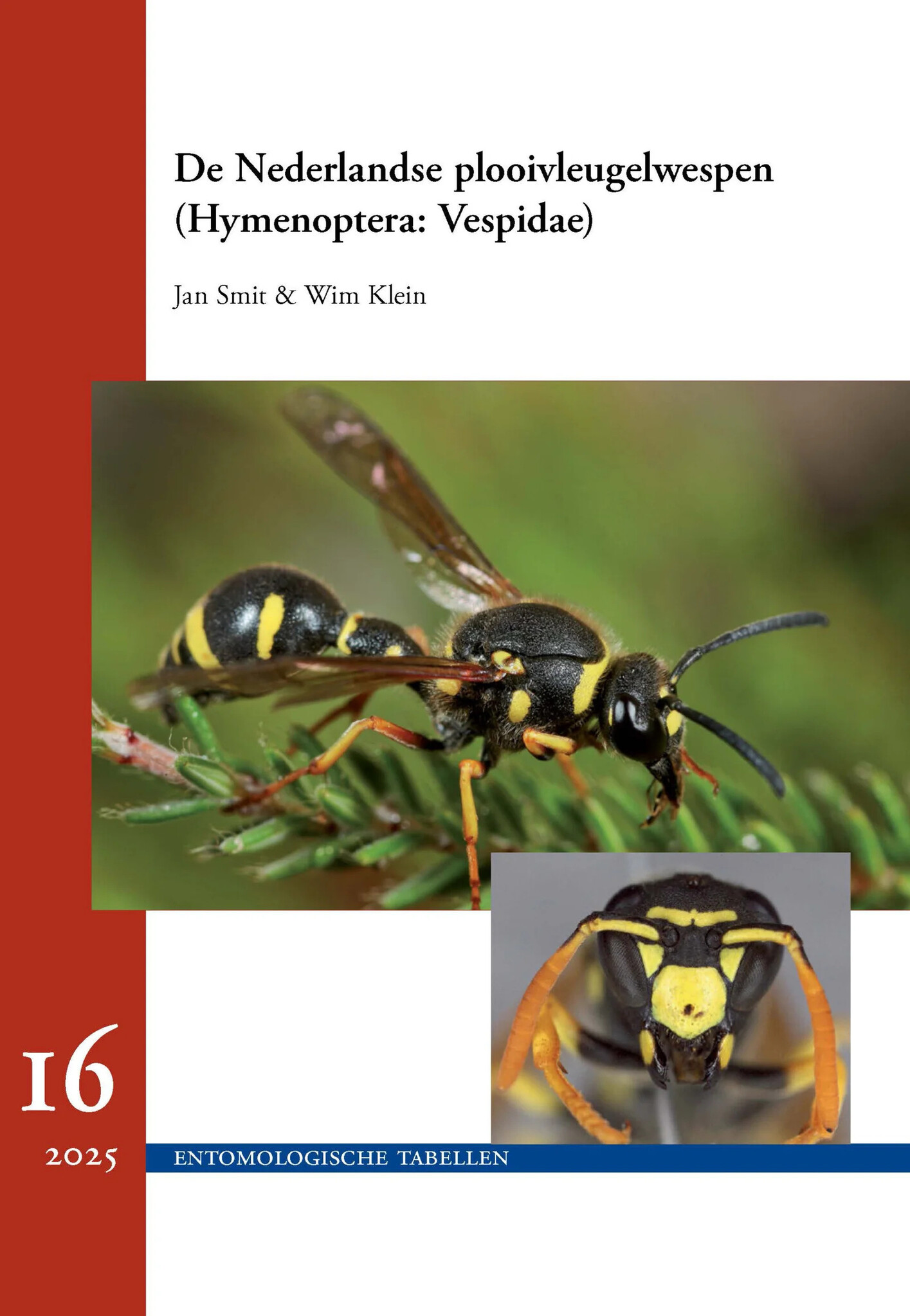 De Nederlandse Plooivleugelwespen (Hymenoptera: Vespidae)