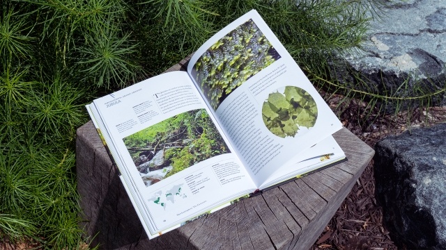 Mosses, Liverworts, and Hornworts of the World - A Guide to Every Order