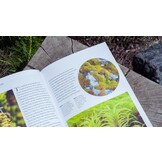 Mosses, Liverworts, and Hornworts of the World - A Guide to Every Order