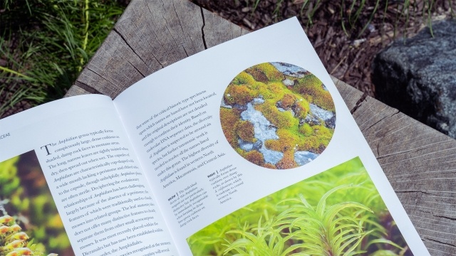 Mosses, Liverworts, and Hornworts of the World - A Guide to Every Order