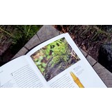 Mosses, Liverworts, and Hornworts of the World - A Guide to Every Order