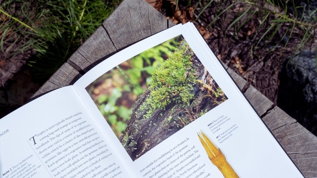 Mosses, Liverworts, and Hornworts of the World - A Guide to Every Order