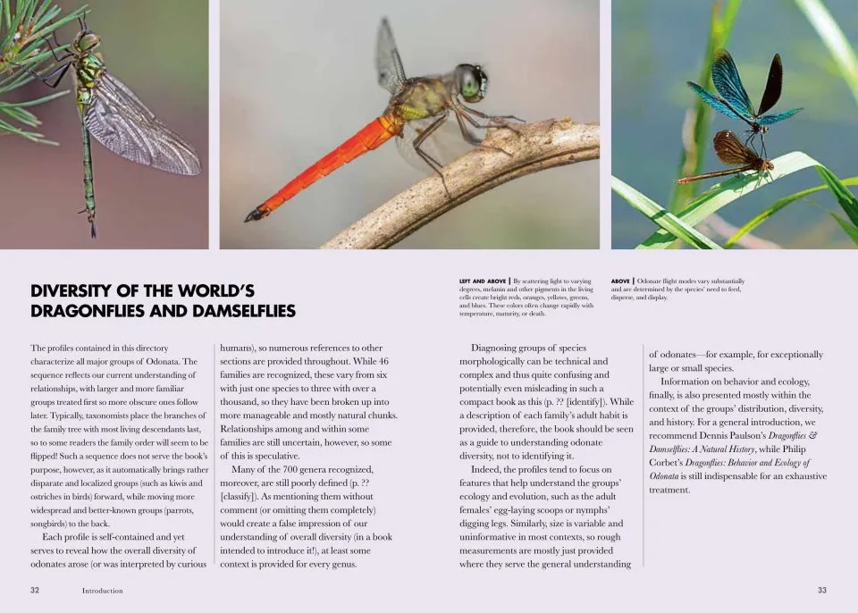 Dragonflies and Damselflies of the World - A Guide to Their Diversity